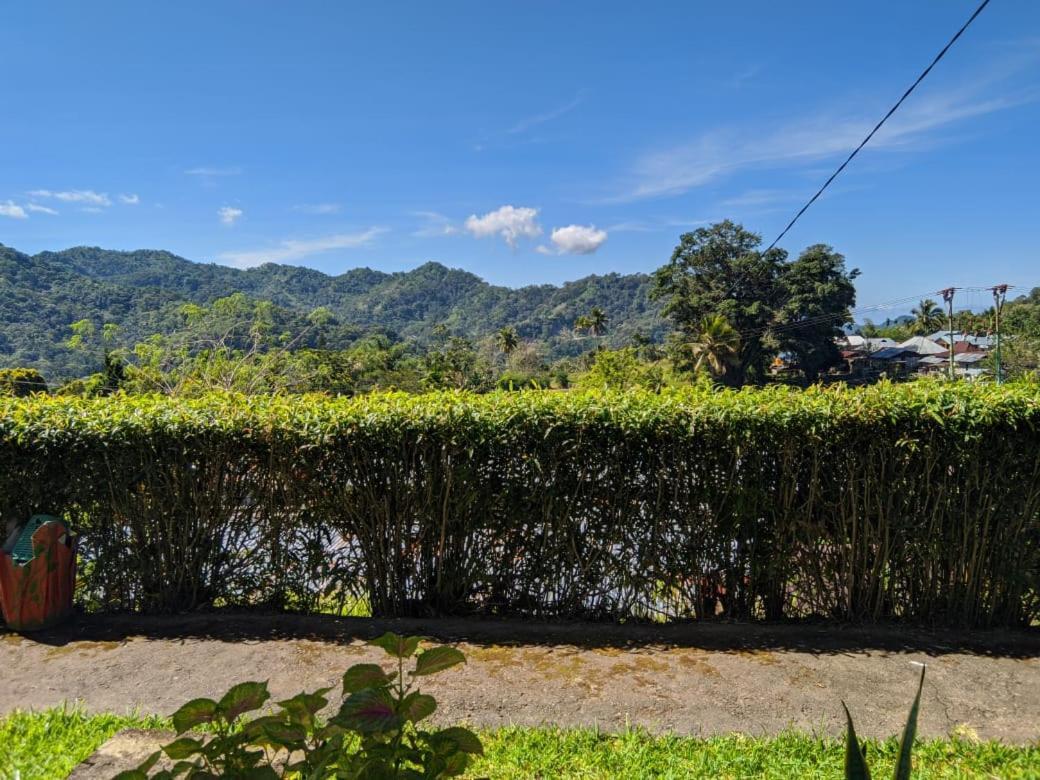 Andy'S Lodge Kelimutu Ngoại thất bức ảnh