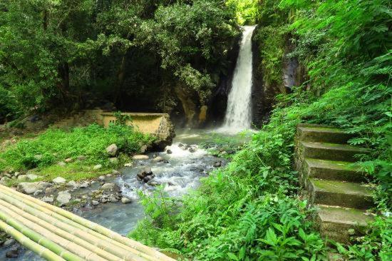 Andy'S Lodge Kelimutu Ngoại thất bức ảnh