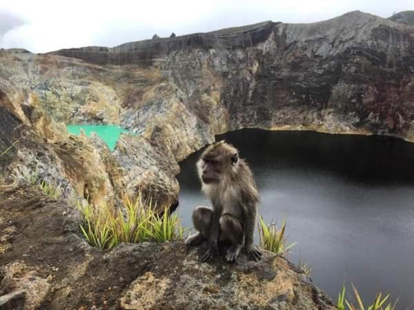 Andy'S Lodge Kelimutu Ngoại thất bức ảnh